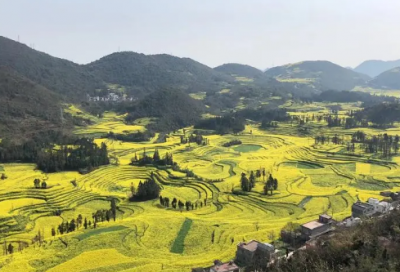 ​可以也可以造句,用可以也可以怎么造句