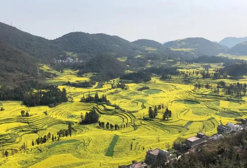 1688235444313220.png image.png