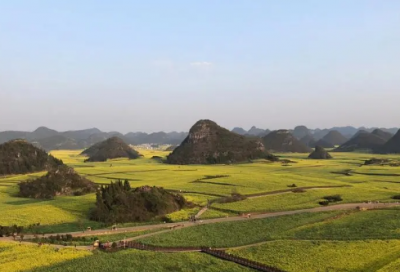 ​和风细雨造句,用和风细雨怎么造句