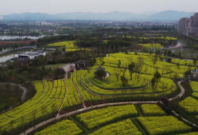 ​悲喜交集造句,用悲喜交集怎么造句