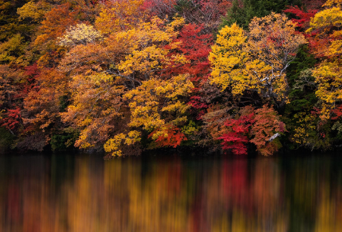 1688236942625340.png image.png