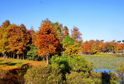 ​振奋人心造句,用振奋人心怎么造句