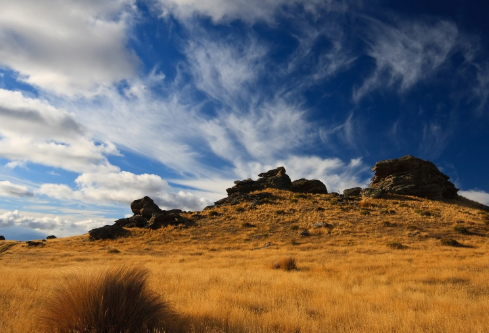 1688237274955905.png image.png