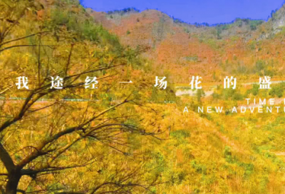 ​民造句,用民怎么造句