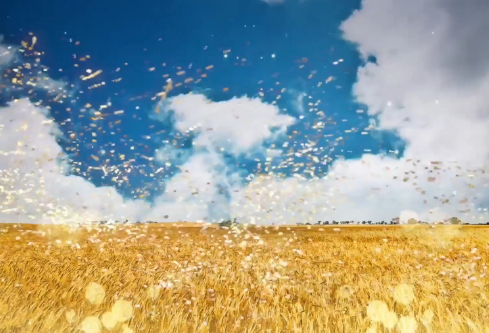 1688237940676096.png image.png