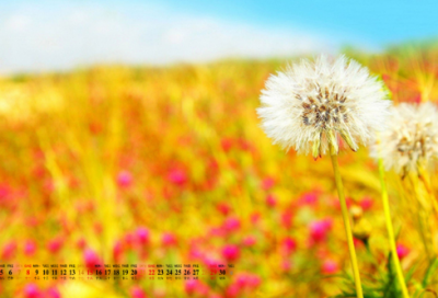 ​任人摆布造句,用任人摆布怎么造句