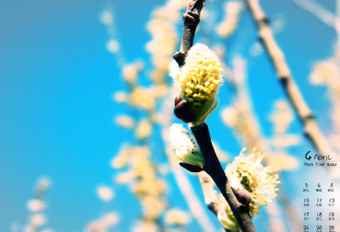 1688238273525529.png image.png