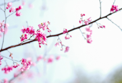 ​脚掌造句,用脚掌怎么造句