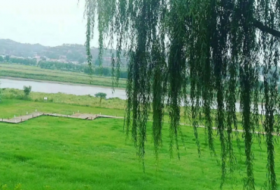 ​事造句,用事怎么造句