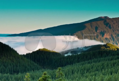 ​甘于造句,用甘于怎么造句