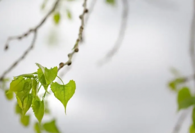 ​买造句,用买怎么造句