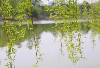 ​逛逛造句,用逛逛怎么造句