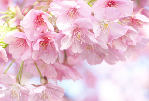 1688243101732955.png image.png