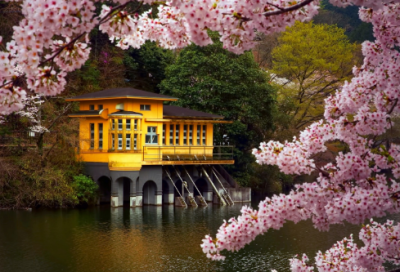 ​新学期造句,用新学期怎么造句