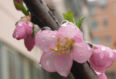 ​枉费心机造句,用枉费心机怎么造句