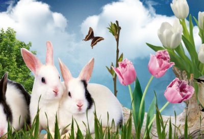 ​厂造句,用厂怎么造句