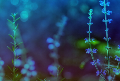 ​地区造句,用地区怎么造句