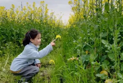 ​池塘造句,用池塘怎么造句