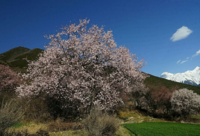 ​也许造句,用也许怎么造句