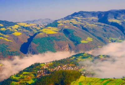 ​辑造句,用辑怎么造句