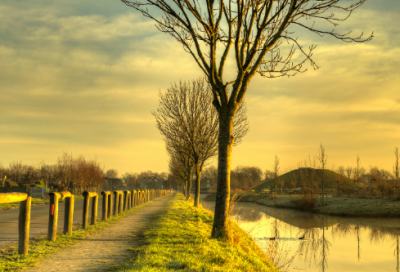 ​争造句,用争怎么造句