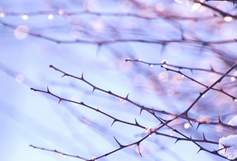 1688249648852652.png image.png