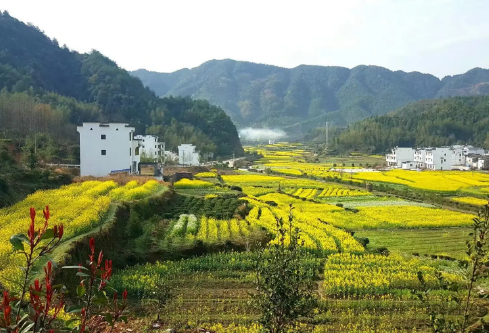 1688250147474654.png image.png