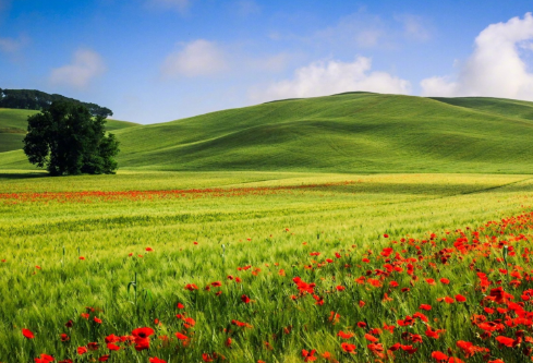 1688251478318225.png image.png