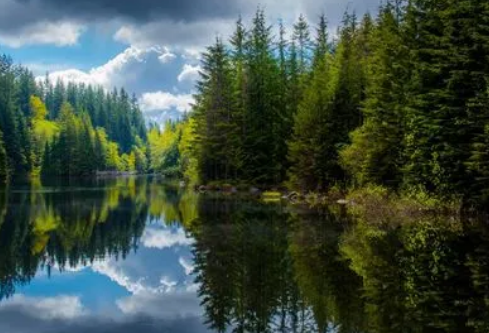 1688251811399383.png image.png