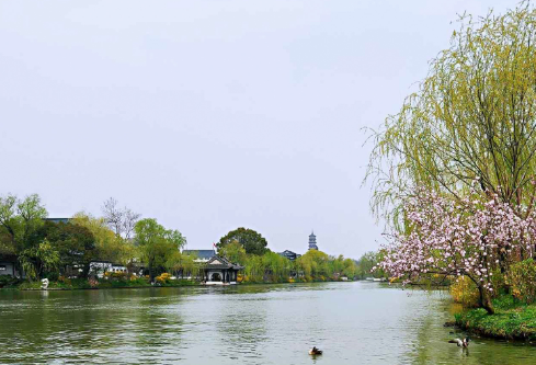 1688251978111613.png image.png