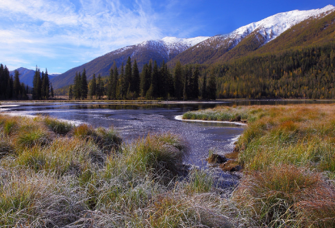 1688252144655363.png image.png