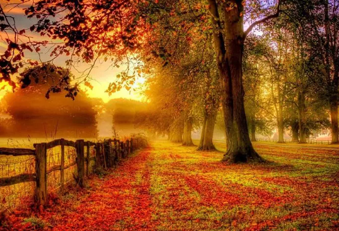 1688252311466059.png image.png