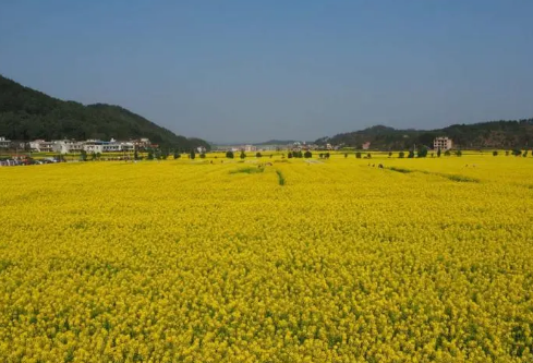 1688252477965374.png image.png