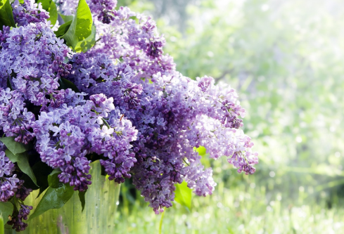 1688252810650161.png image.png