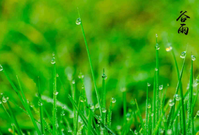 ​用造句,用用怎么造句