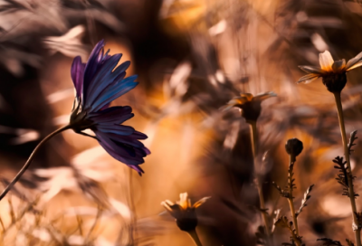 ​水造句,用水怎么造句