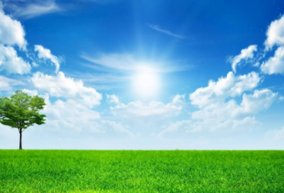 ​浆造句,用浆怎么造句