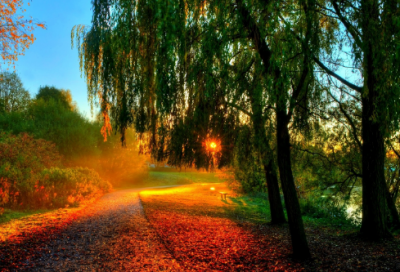 ​通过造句,用通过怎么造句