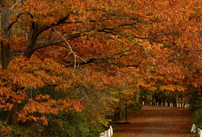 ​其造句,用其怎么造句