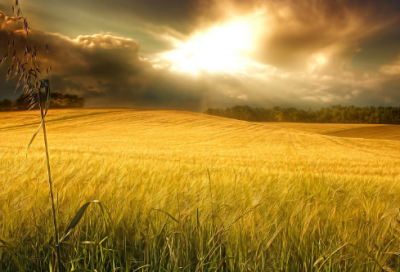 ​第四天造句,用第四天怎么造句