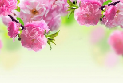 ​戛然而止造句,用戛然而止怎么造句