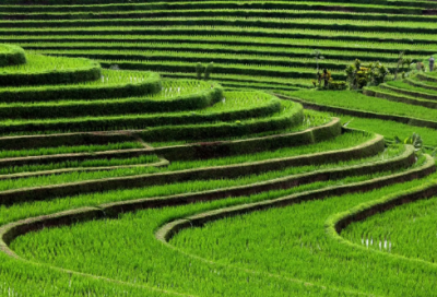 ​原因造句,用原因怎么造句