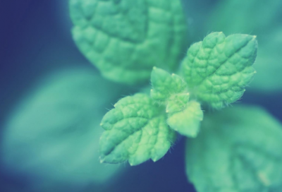 ​老死不相往来造句,用老死不相往来怎么造句