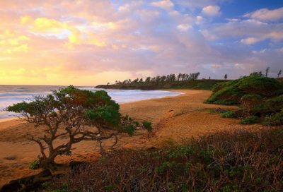 ​瘤造句,用瘤怎么造句