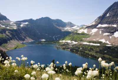 ​檀造句,用檀怎么造句