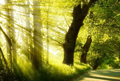 ​务造句,用务怎么造句