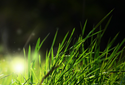 ​瞬造句,用瞬怎么造句