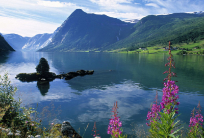 ​一五一十造句,用一五一十怎么造句