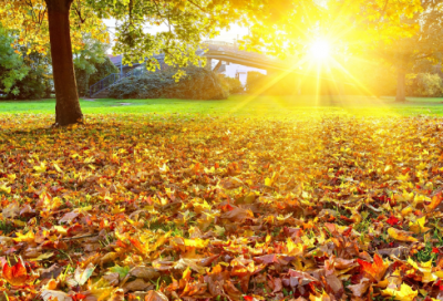 ​恩将仇报造句,用恩将仇报怎么造句