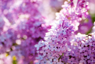 ​推陈出新造句,用推陈出新怎么造句